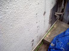 外装リフォーム 塗替え家 塗装工事