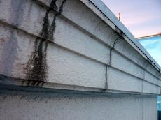 ヨーコンハウスシール 清須ヨーコンハウス アイセイ堂守山