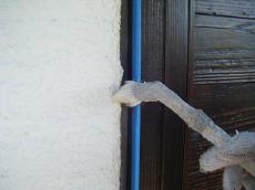 シリコン塗装 ふっ素塗装 ウレタン塗装