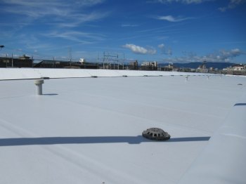 屋上は新築時同様の塩ビシート防水で実施しました。