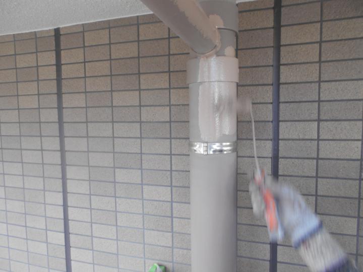 樋の塗装を行います。