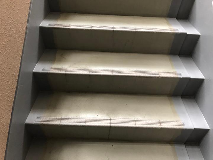 階段側溝部や巾木を保護塗装で仕上げます