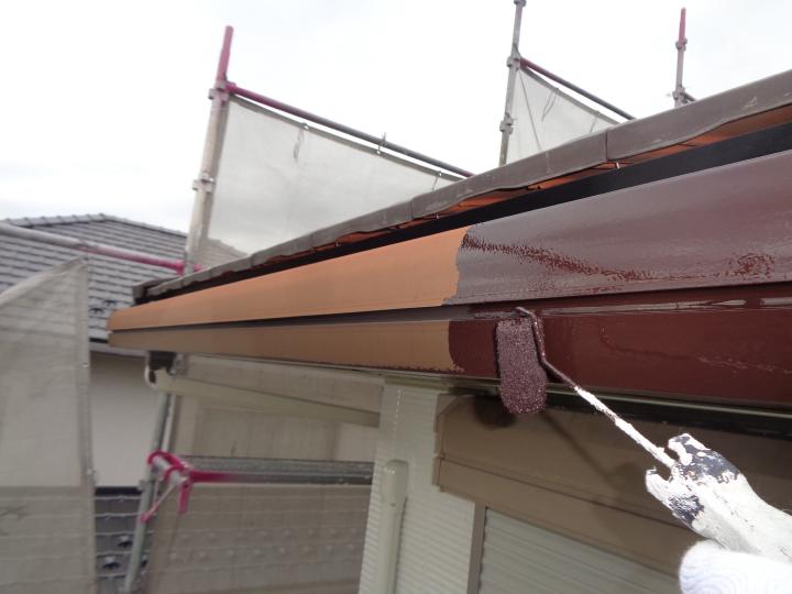 樋を無機塗料で塗装しています。