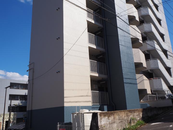 外壁塗装はシリコン塗料で仕上げました。